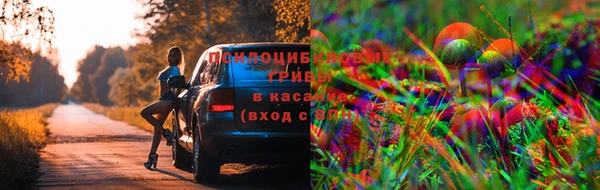 кокаин Алексеевка
